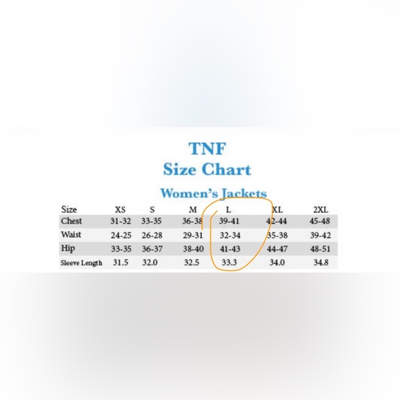 EUC North Face Women Apex Bionic 3 WindWall Soft Shell Jacket - Heather Gray L - Picture 10 of 10